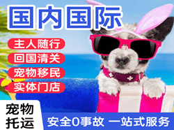 胶东机场快运国际宠物托运 【国